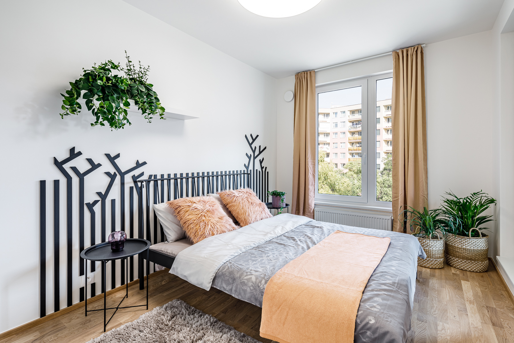 Harmonii v roce 2024 přinese barva Peach Fuzz!