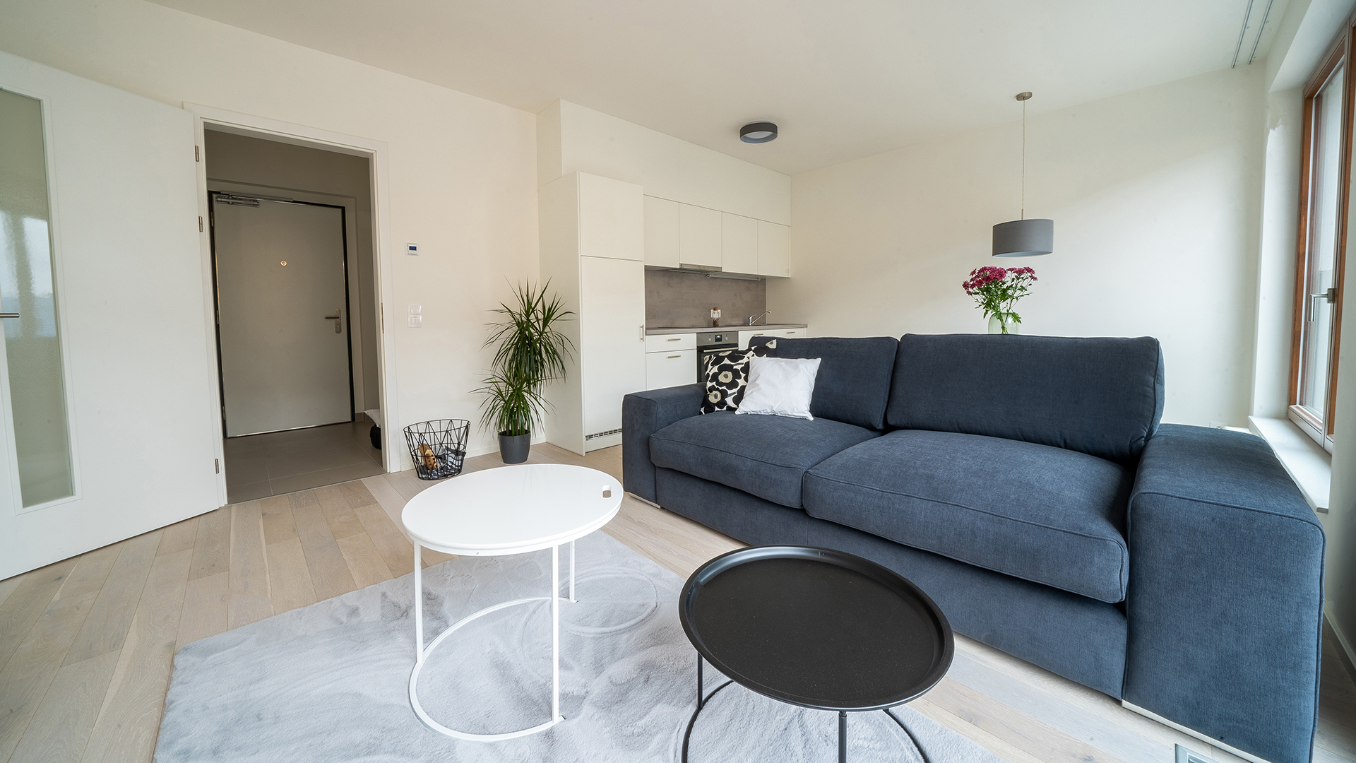 Aalto Cibulka nabízí byty k pronájmu