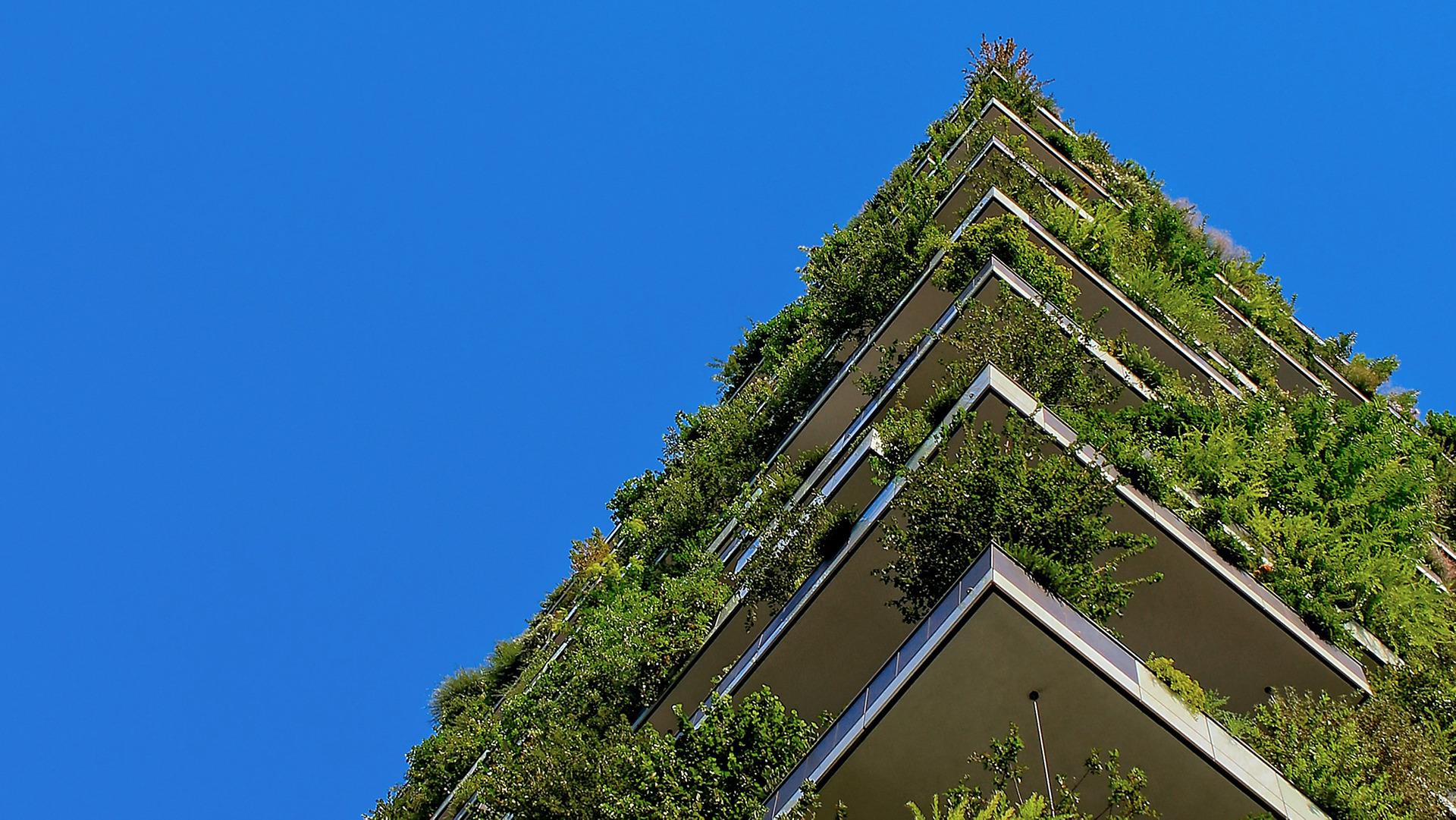 Ekologické bydlení je bydlením budoucnosti